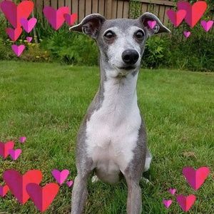 Meet your Posher, Marc